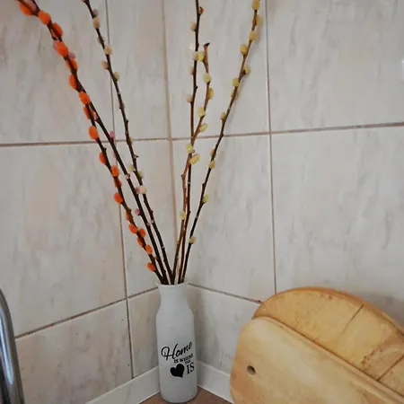 Apartamento Daniel Split
